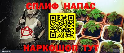 дживик Туймазы