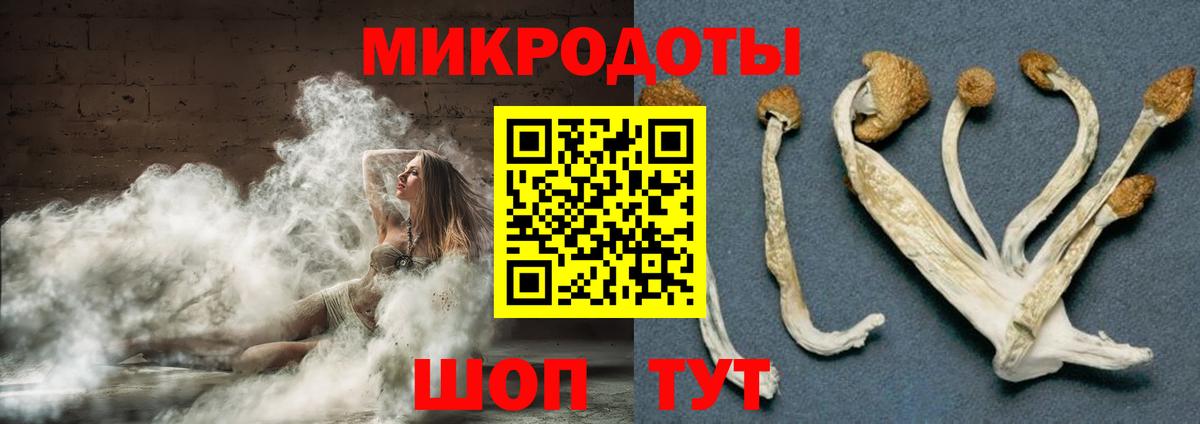 Балашиха  Псилоцибиновые грибы прущие грибы  Вход с VPN  Галлюциногенные грибы ЛСД 